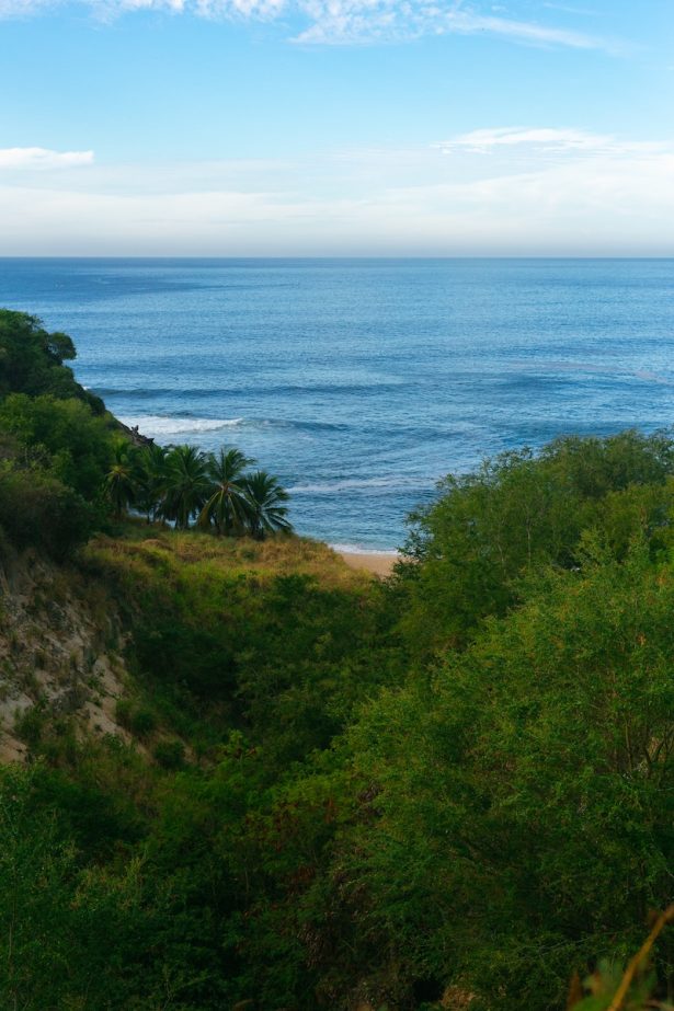 Check out this zipolite guide for a great vacation experience, view of a valley full of green trees and grass leading down to the calm blue waters of the sea under a bright blue sky with wispy white clouds
