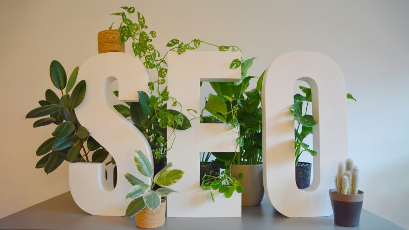 Large white letters spelling 'SEO' are surrounded by green plants, creating a clean and natural aesthetic. The letters are placed on a flat surface, with various potted plants positioned around them.