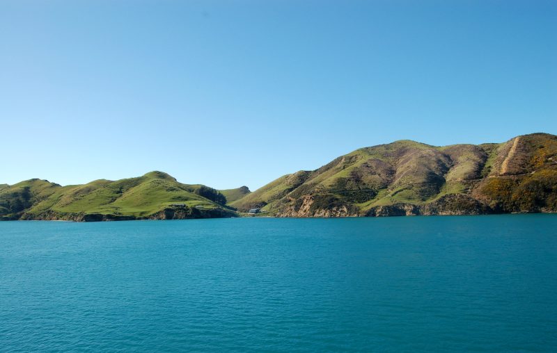 A peaceful scene of bright blue waters with rolling green hills in the background under a clear, sunny sky, showcasing the natural beauty of coastal New Zealand.