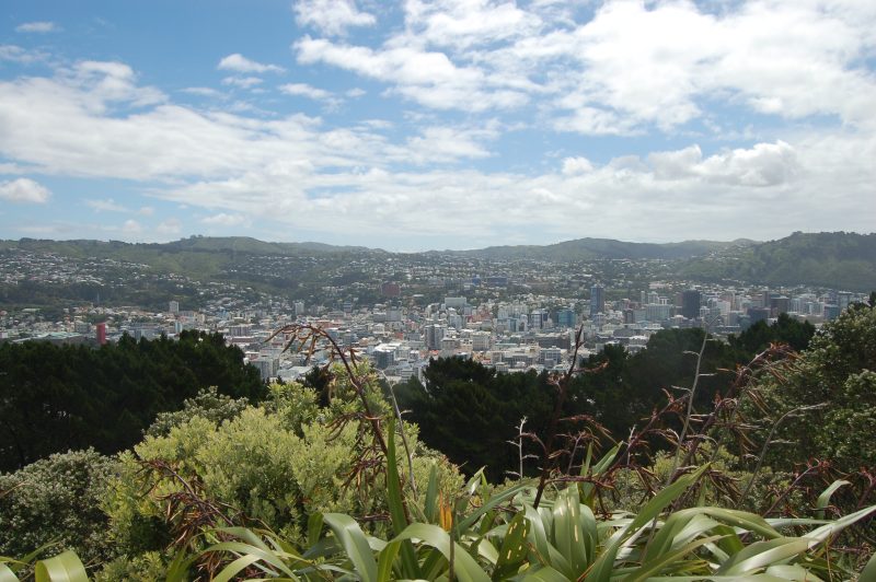 A panoramic view of Wellington, New Zealand, showcasing the cityscape with numerous buildings nestled among rolling green hills under a partly cloudy blue sky. In the foreground, native vegetation, including flax plants, frames the urban scenery.
