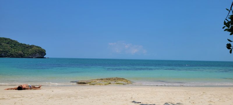 A vertical shot of a sunbather lying flat on a sandy beach, facing the turquoise ocean. In the distance, a lush green headland meets the clear blue sky, while the foreground is dappled with shade from overhanging trees.